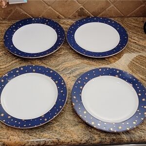 Elegant Blue and White Dinner Plates